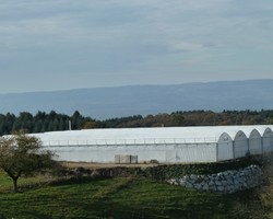 Pépinières du Buyet - Saint-Médard-en-Forez - Nos réalisations Pépinières du Buyet - Saint-Médard-en-Forez - Nos réalisations