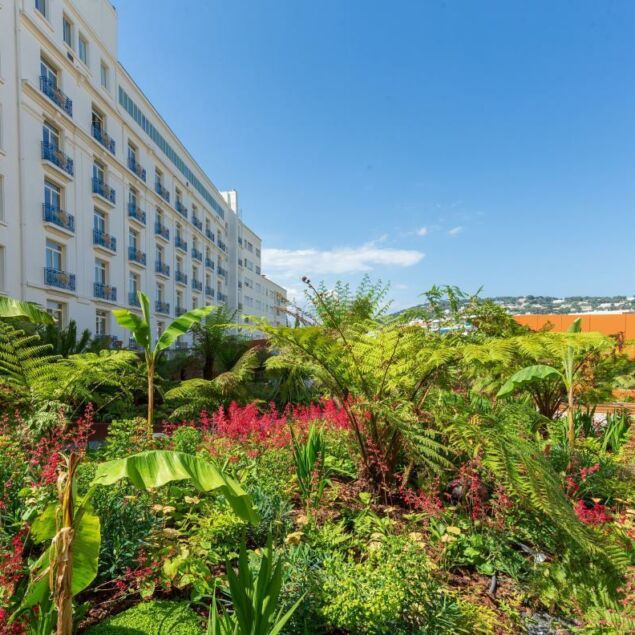 cannes dans la cour du martinez un jardin secret bien garde 2